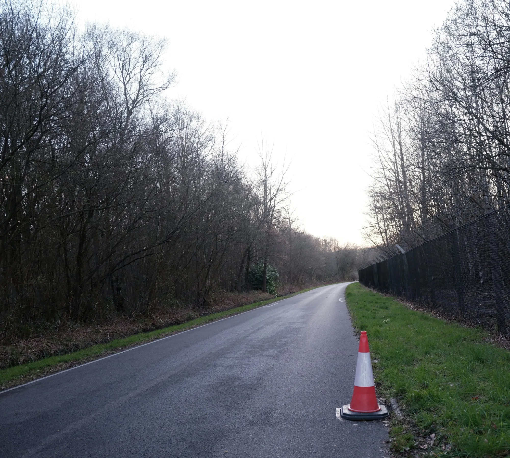 A traffic cone at the edge of a resurfaced road through woodland